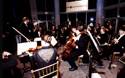 The Thirteen Strings Orchestra