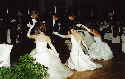 Several Debutantes and Partners